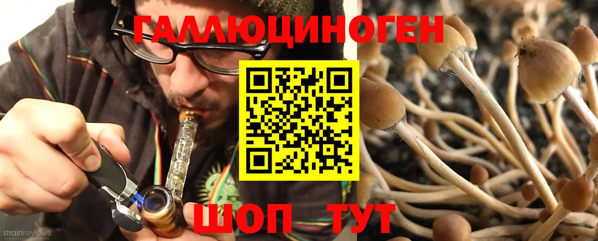 Тара  цена наркотик  Вход с VPN  Галлюциногенные грибы ЛСД 
